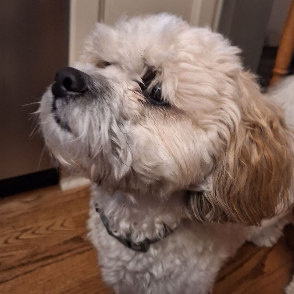 Max