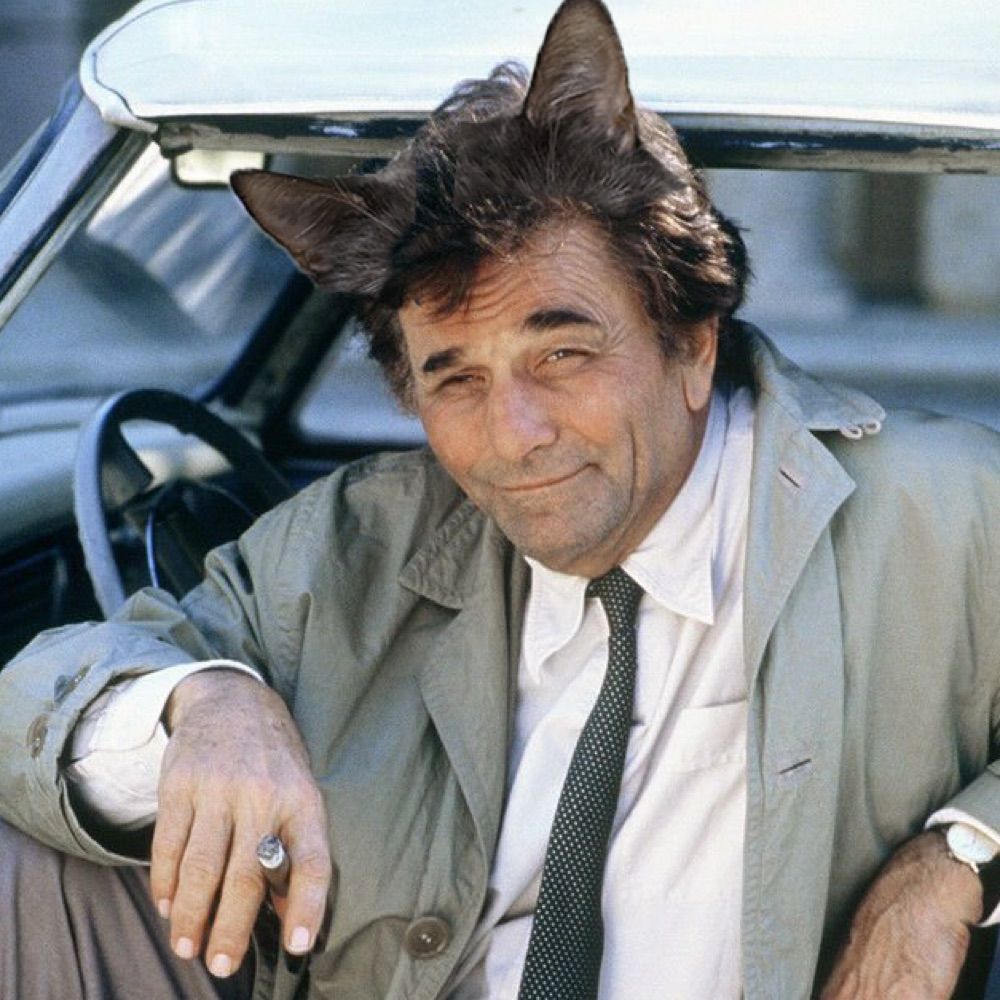 metal-gear38.bsky.social