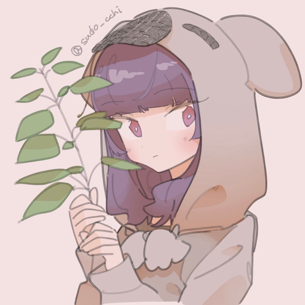 すどっち(コアラ)