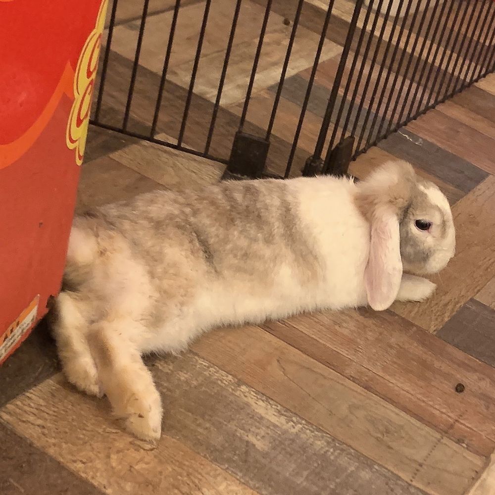 てこ