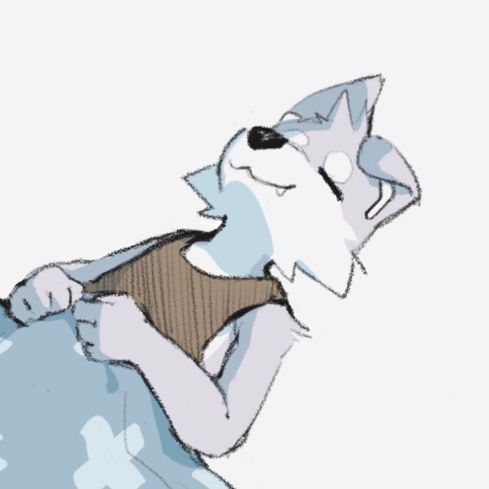 NaiSU
