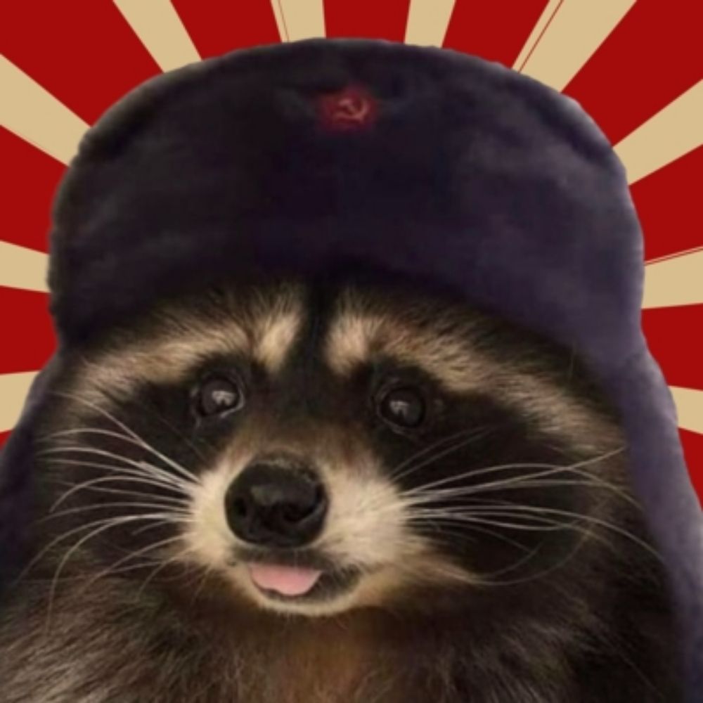 that raccoon™