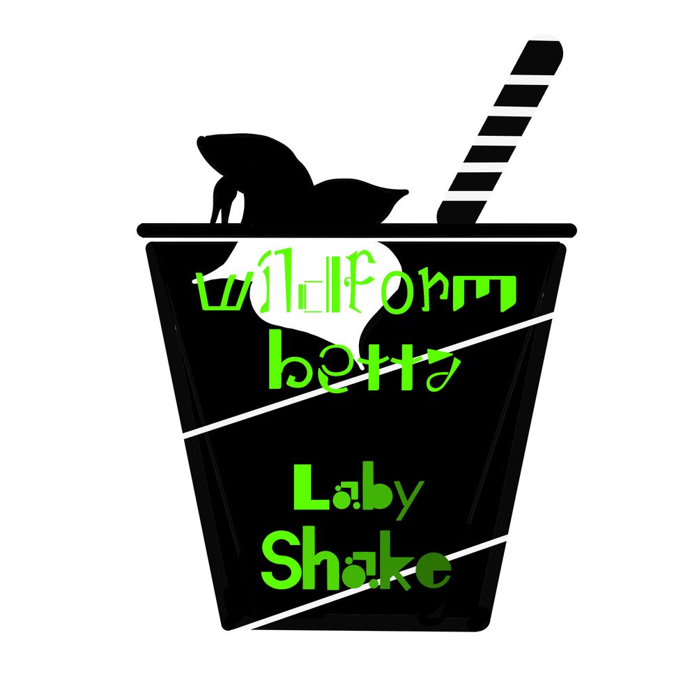 Laby-Shake