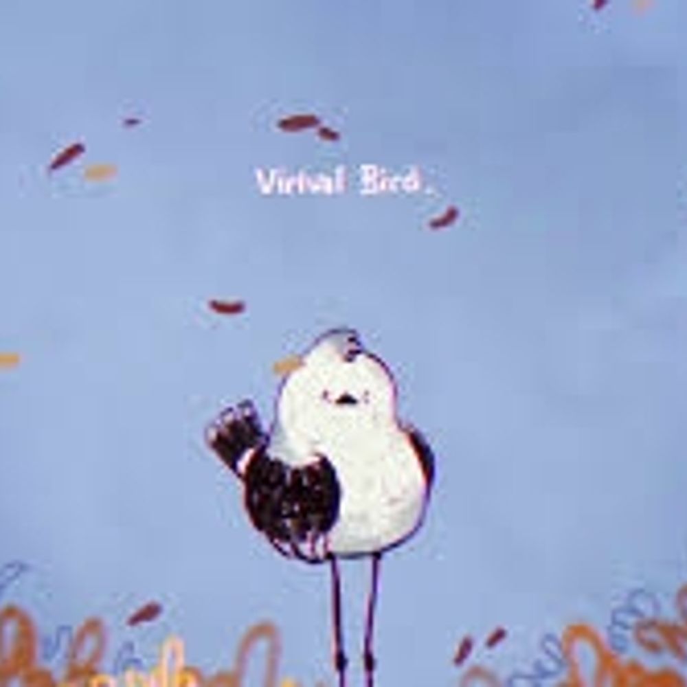 Virtual Bird