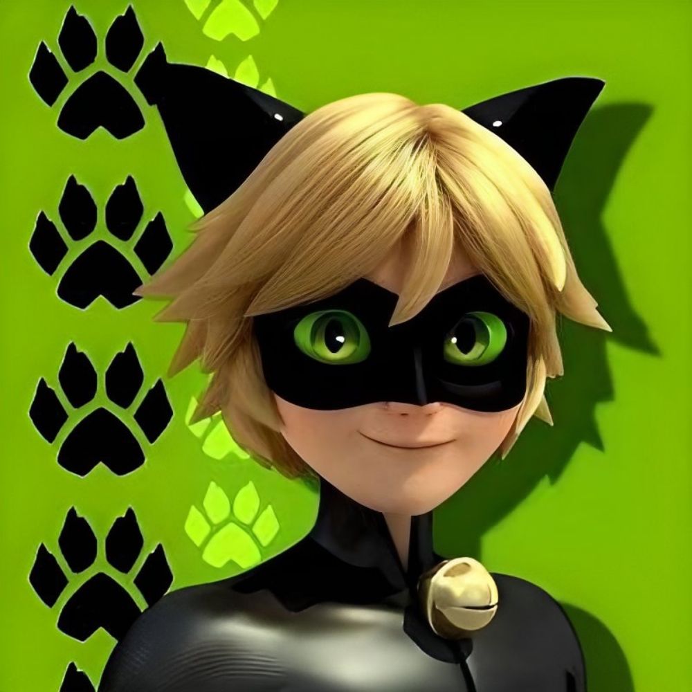 Chaton Fans World 🐾