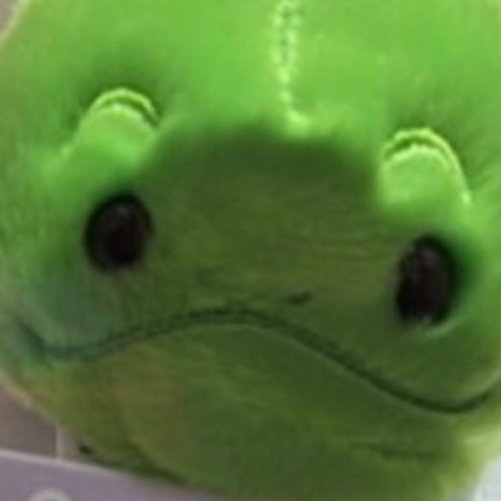 Bingoop