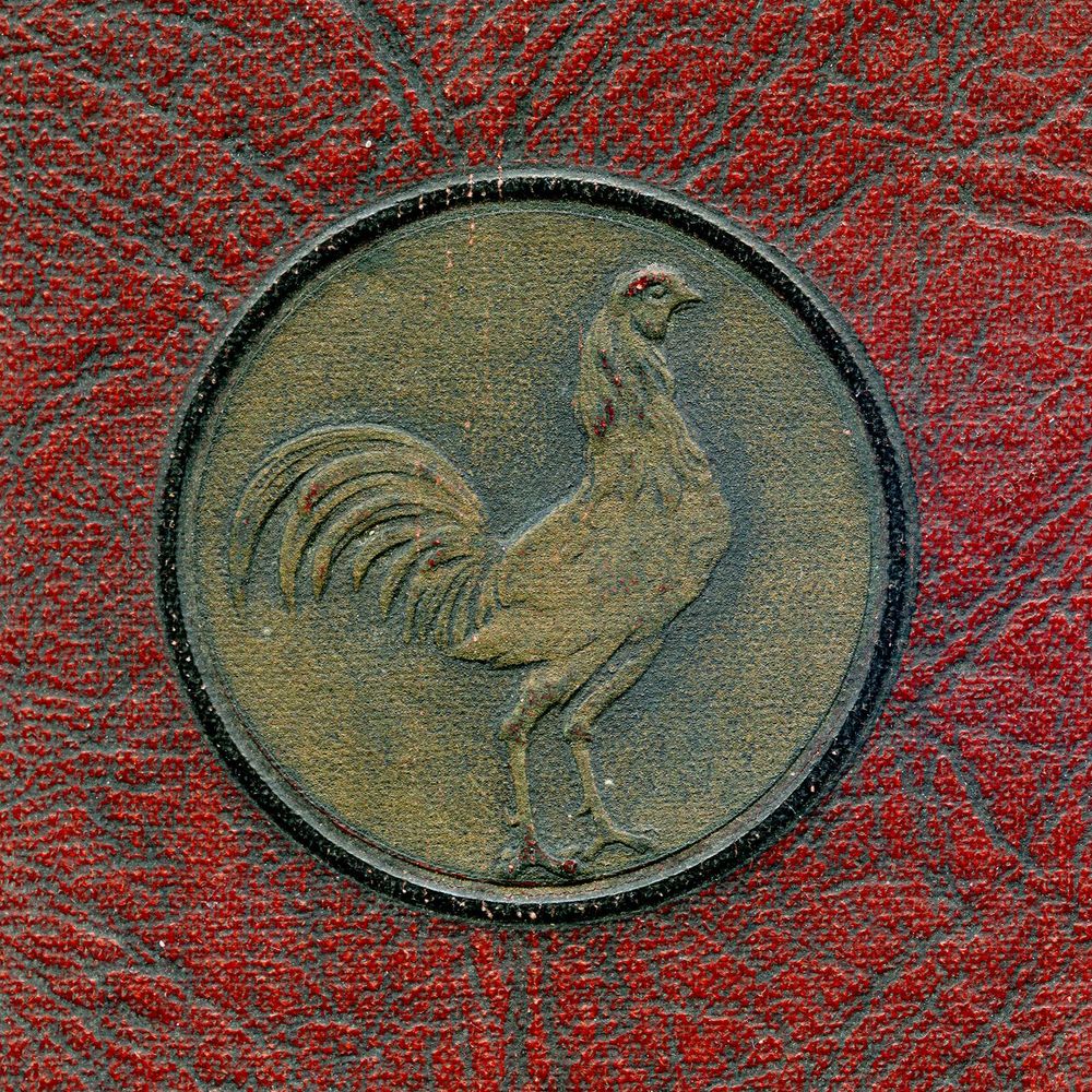 Gamecock Archivist