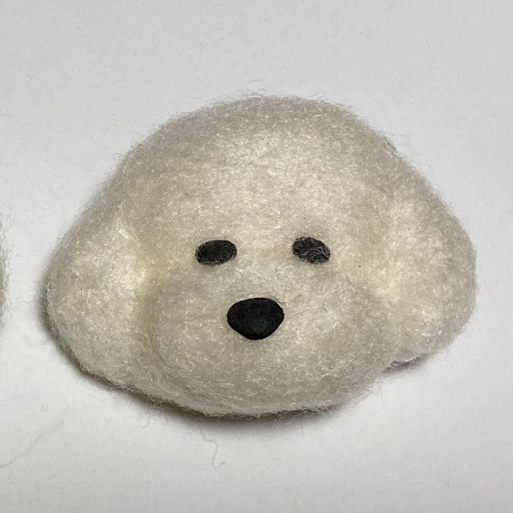 tomo