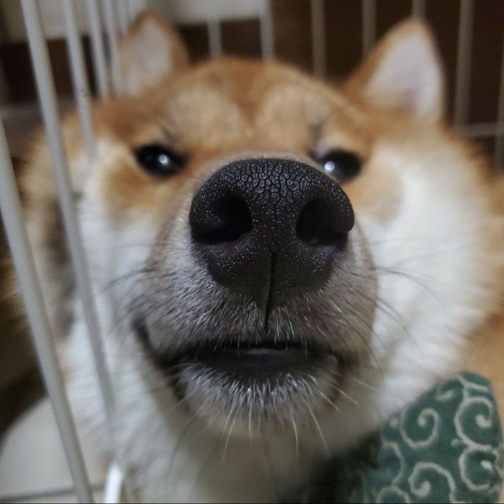 あたま