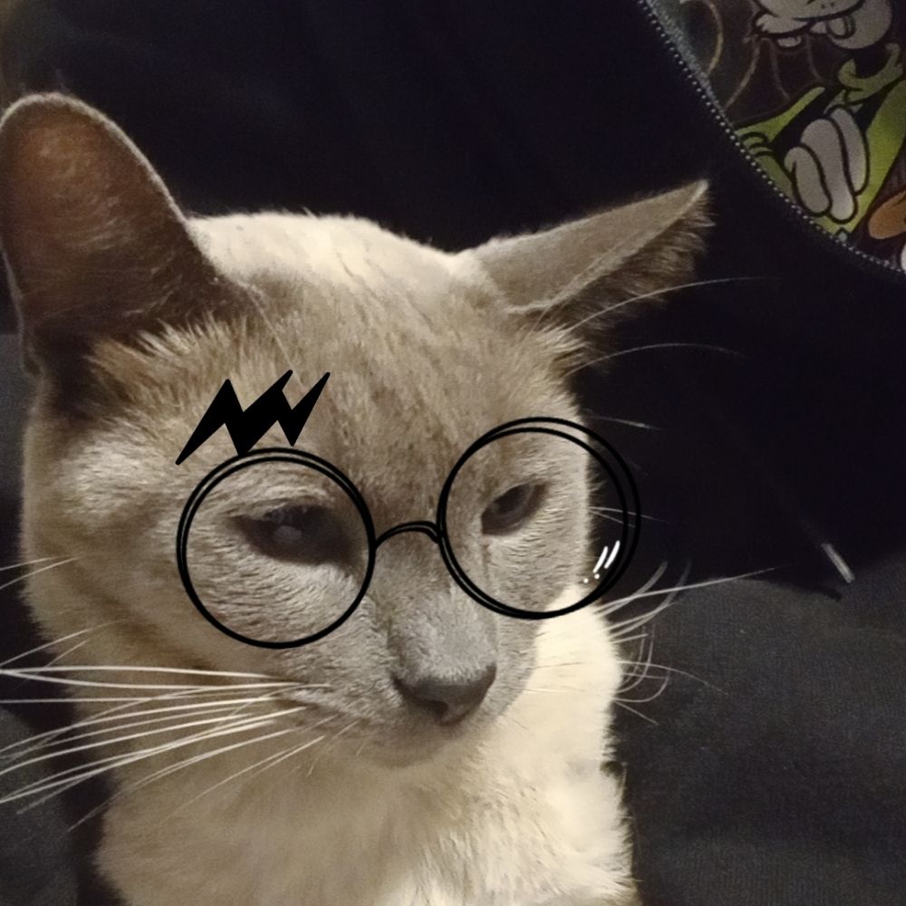 Sabrina 