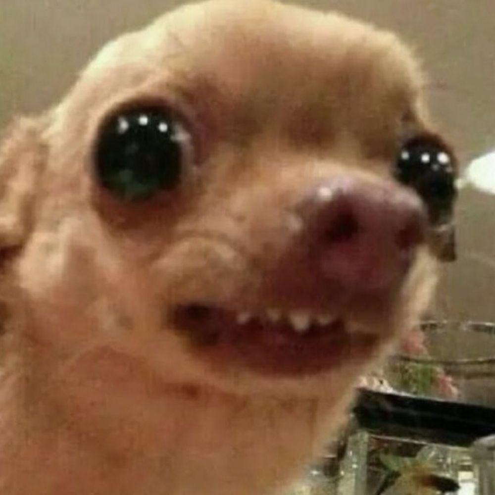 Me llaman Purri