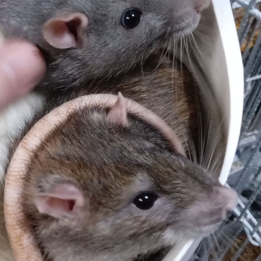 <3