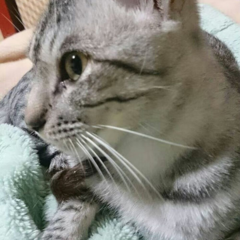 ２く９