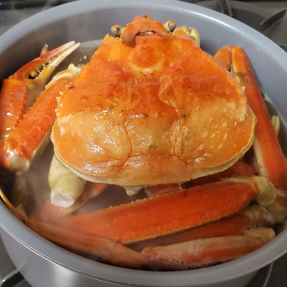 たたた