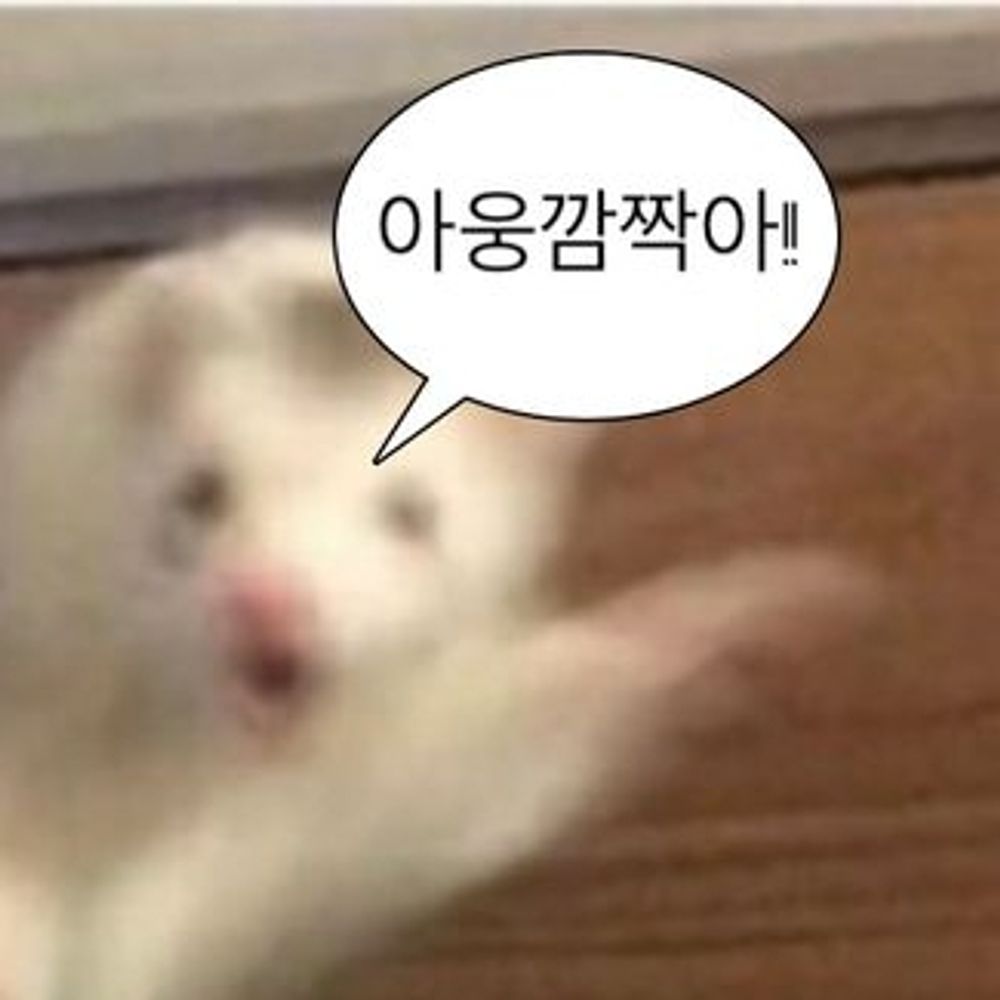 포도주스
