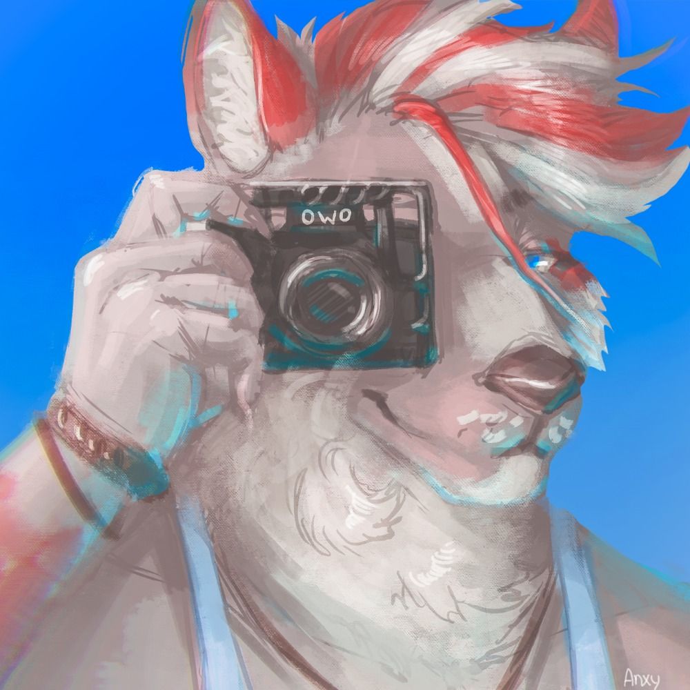 Sproxxy 🐺📷🎬