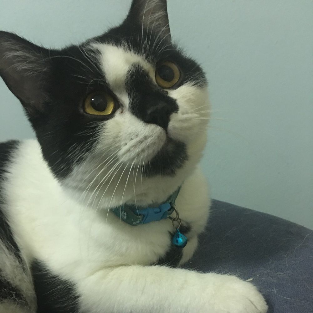 Mr.Peerapol🥛✨🧀