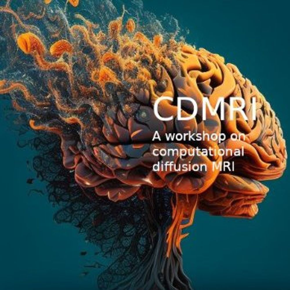 Computational Diffusion MRI Workshop