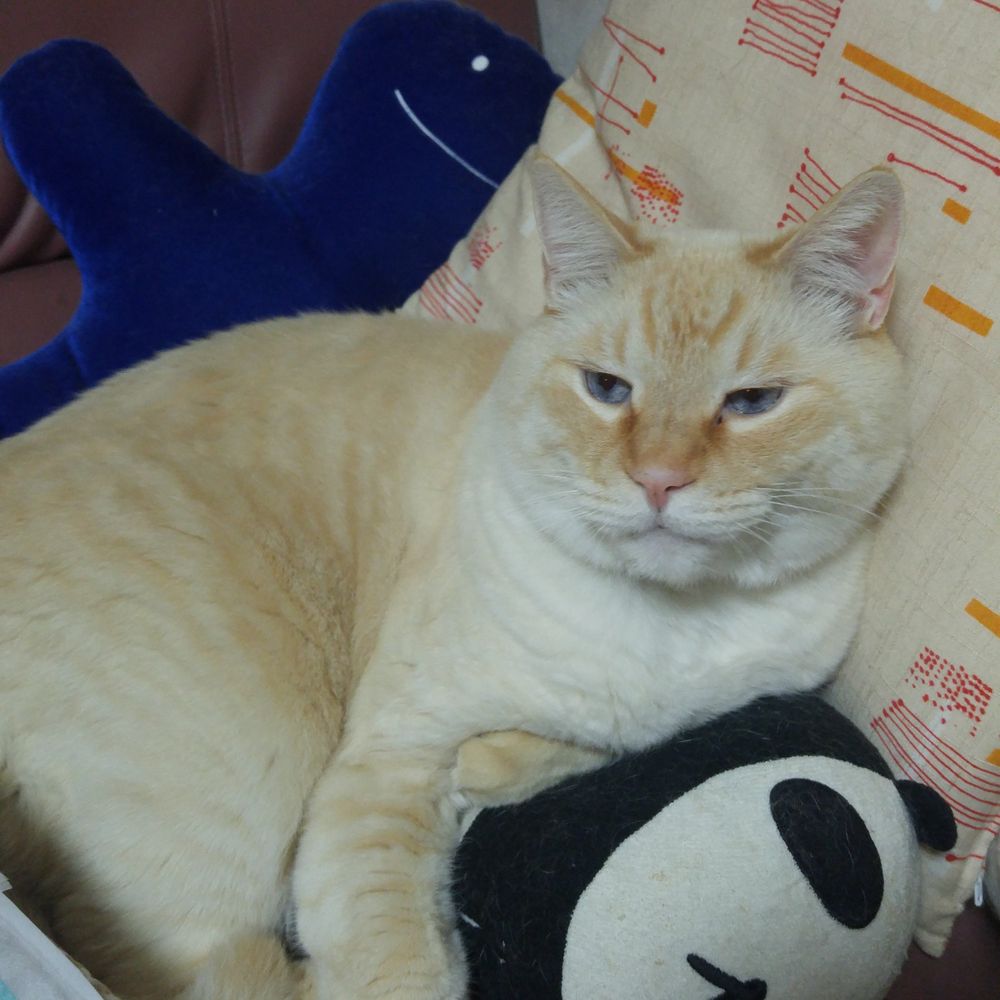 みん