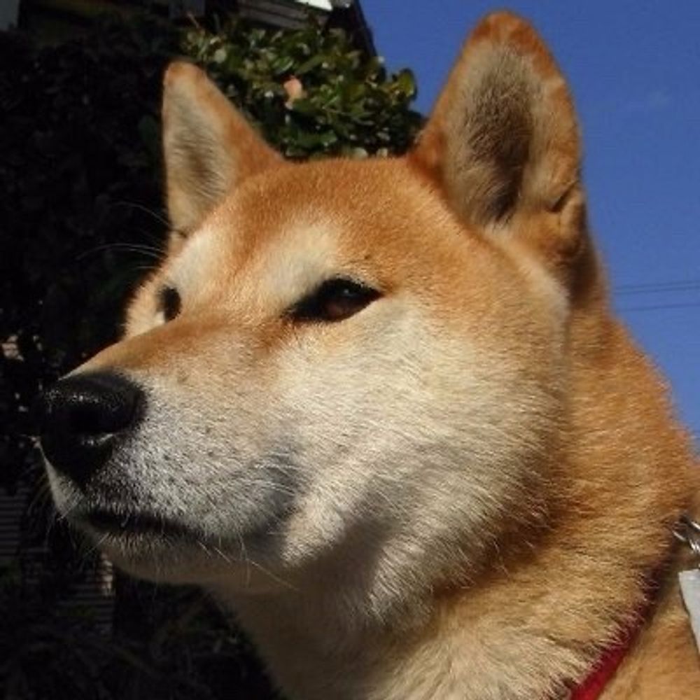 せんごく