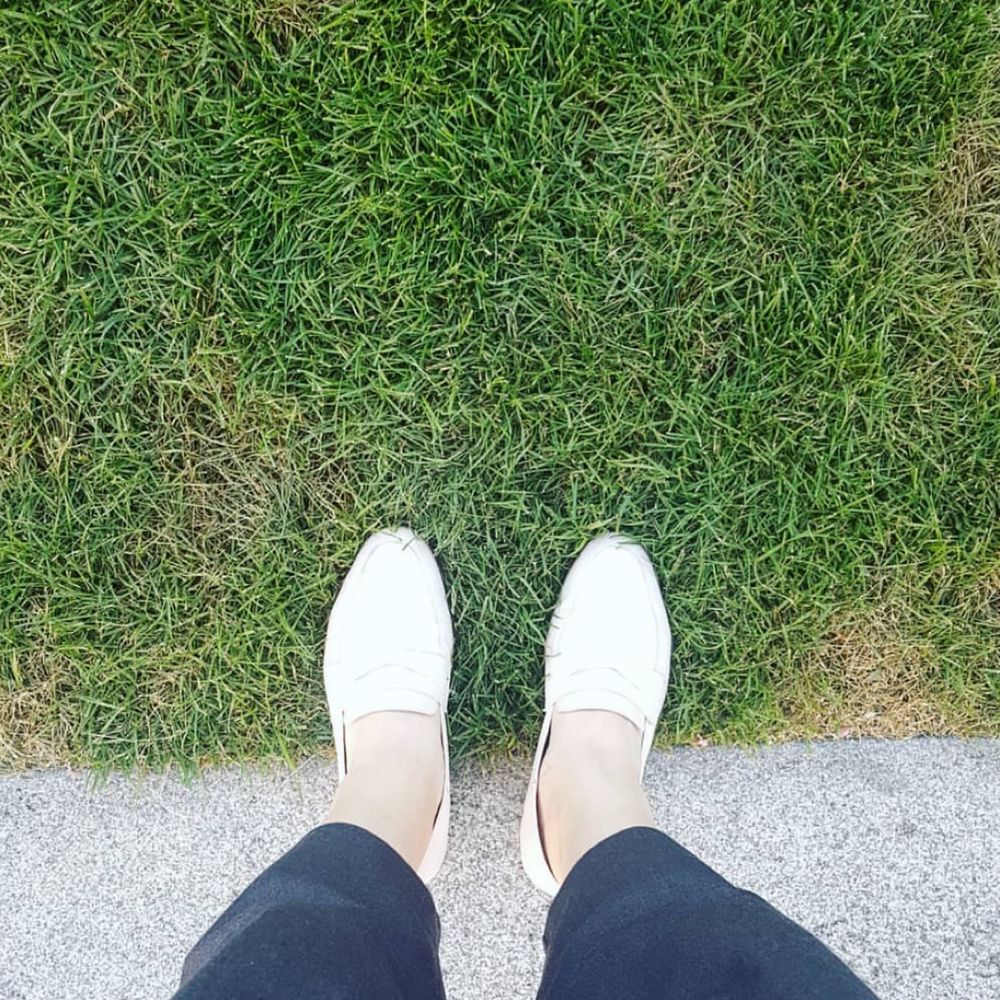 쟁