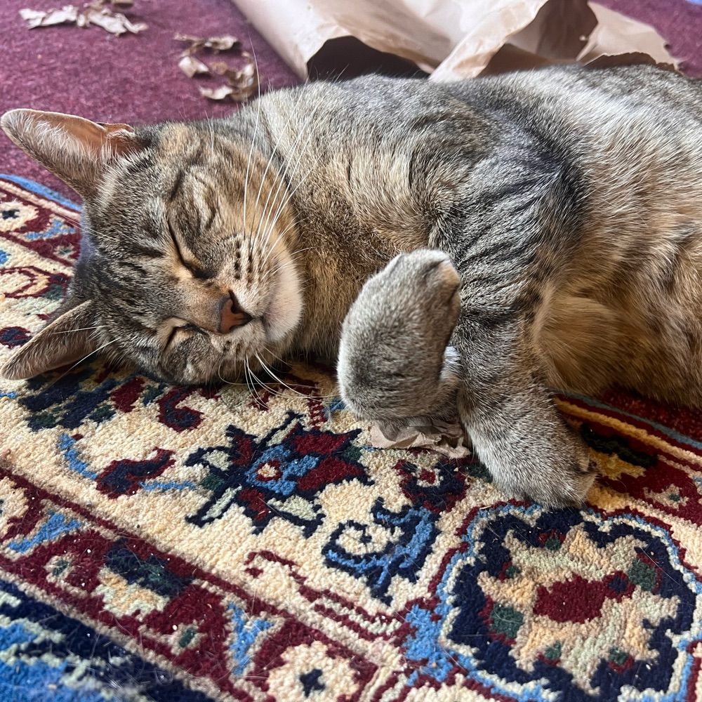 mooshka