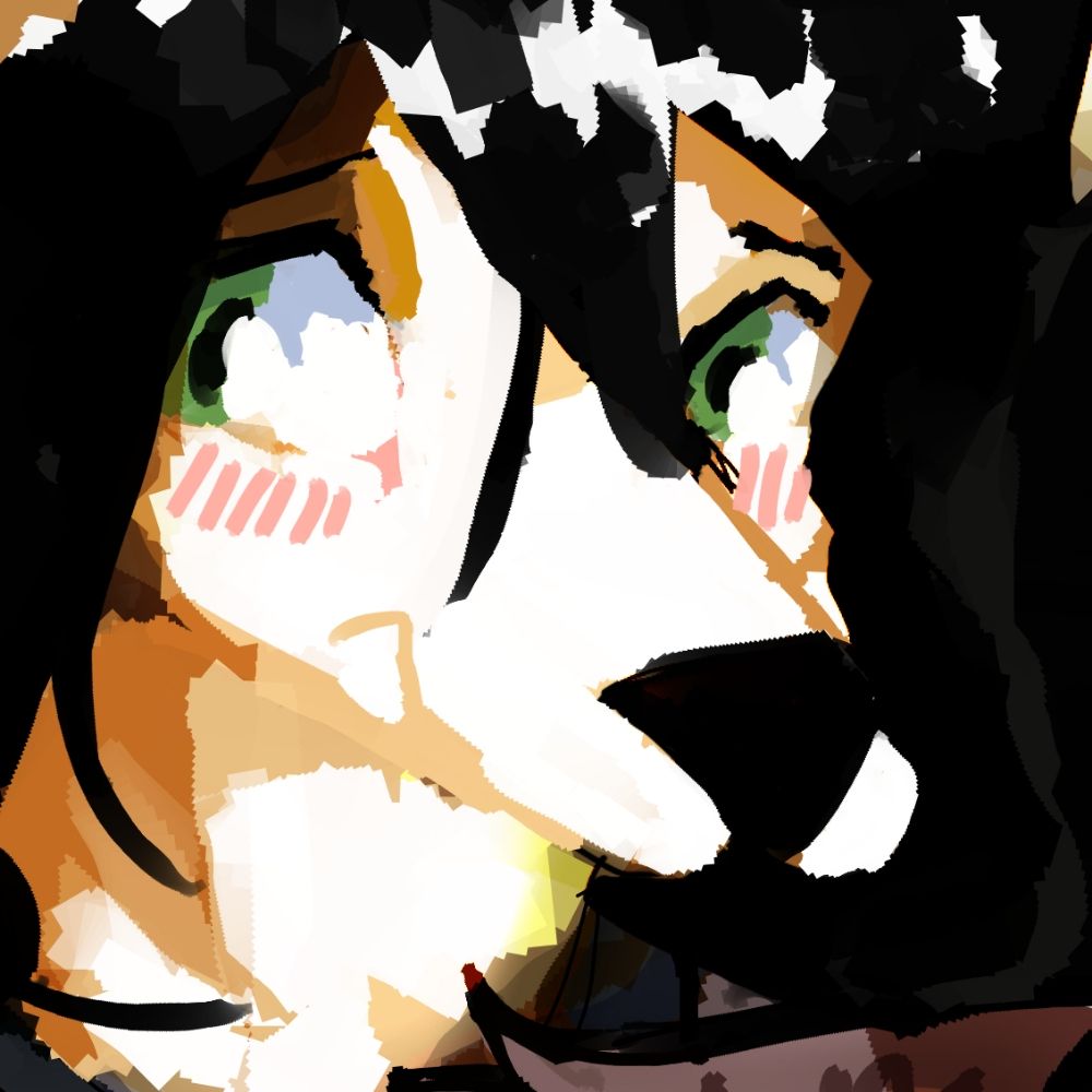 illutrator.