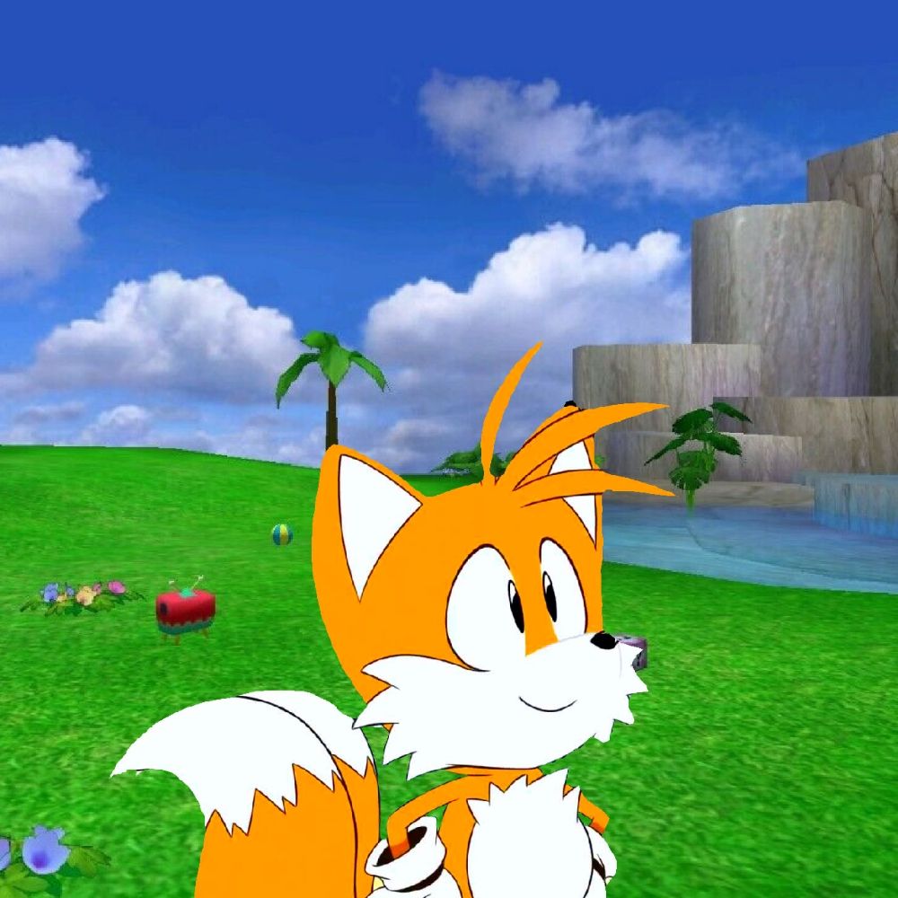 Tails The Fox!