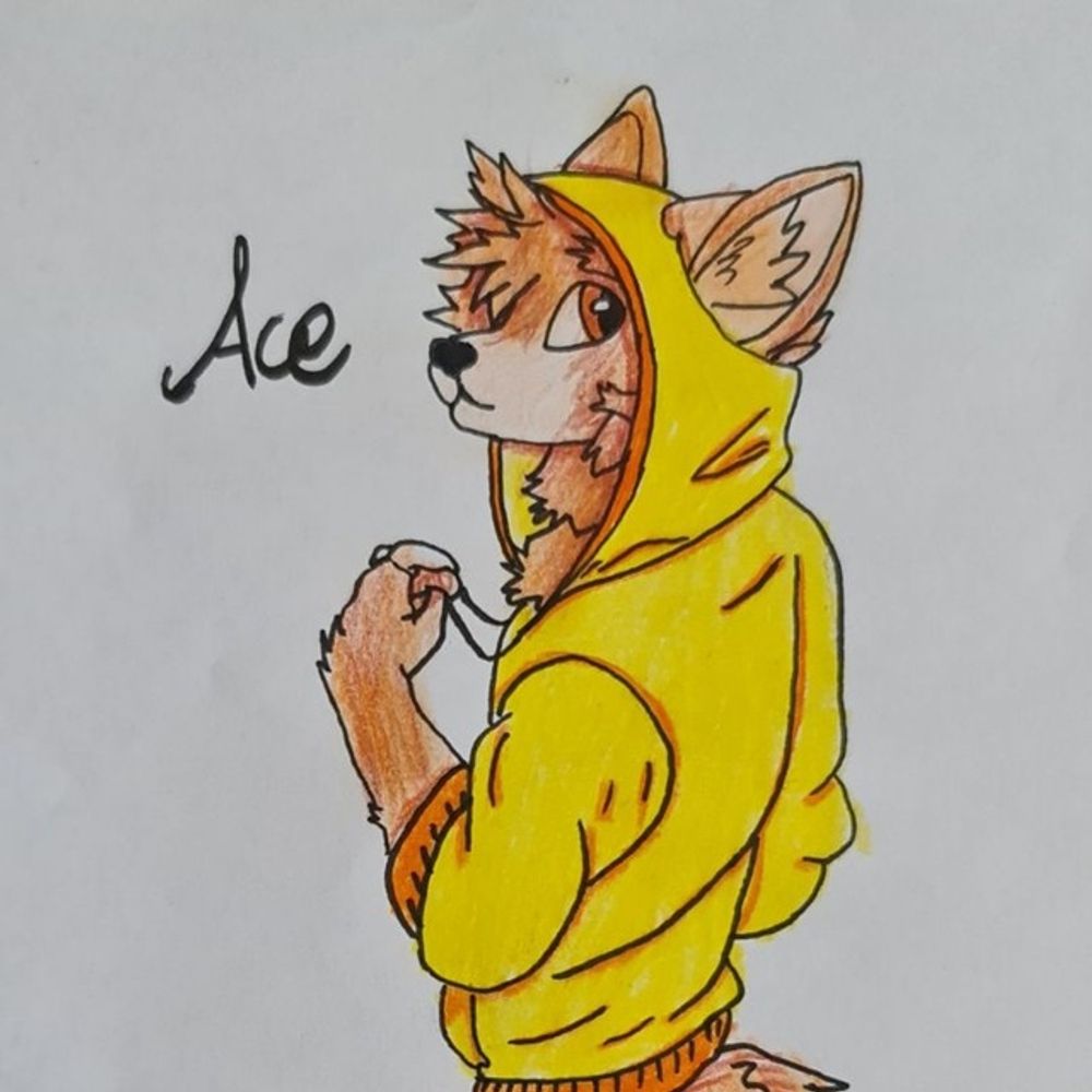 Ace