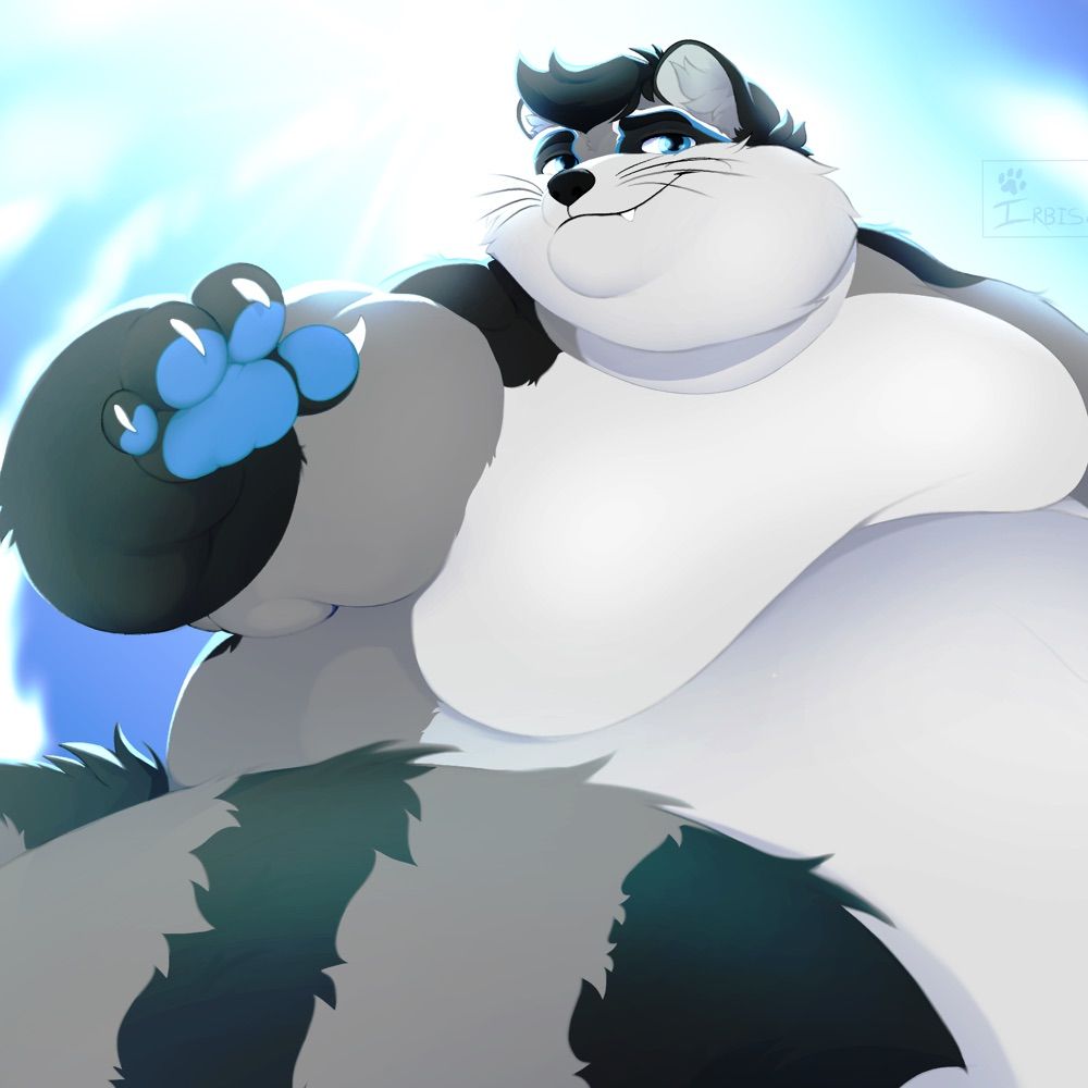 🔞BIG BELLY BENNIE 🦝🐻🎈🔞