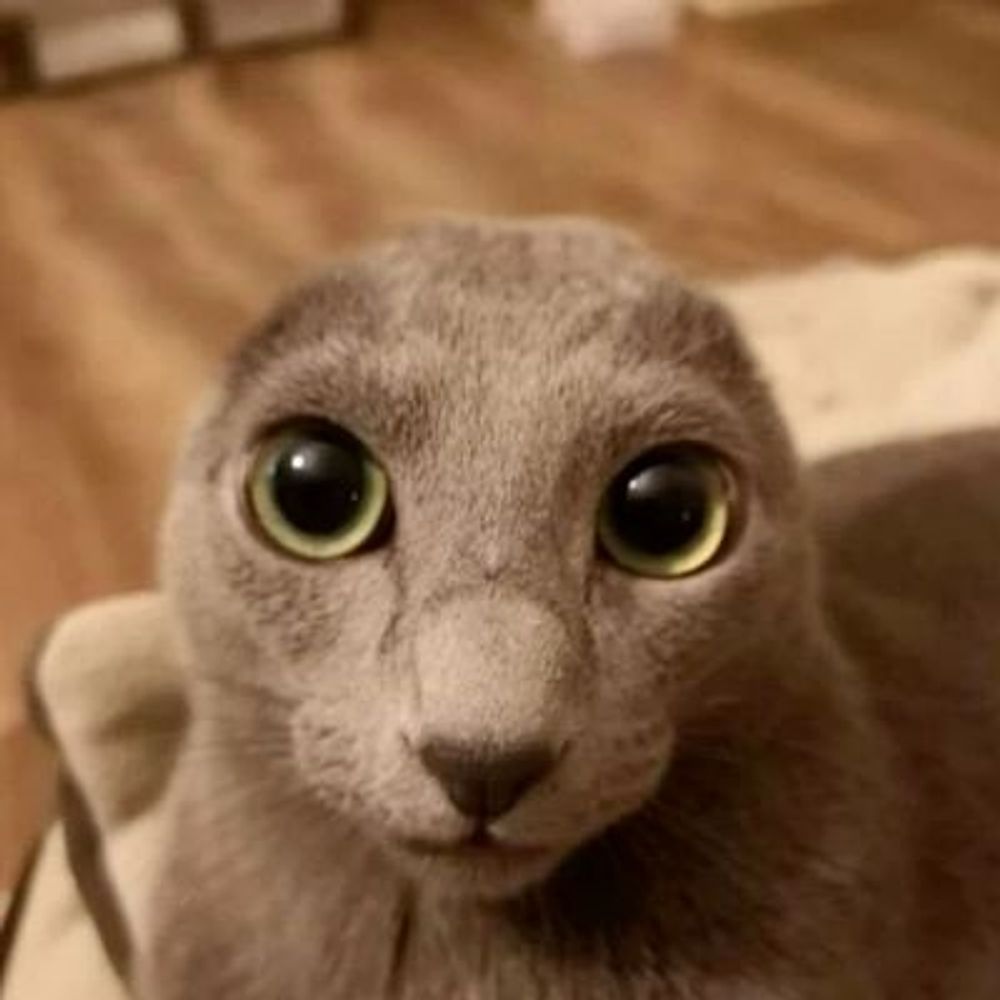 meowie