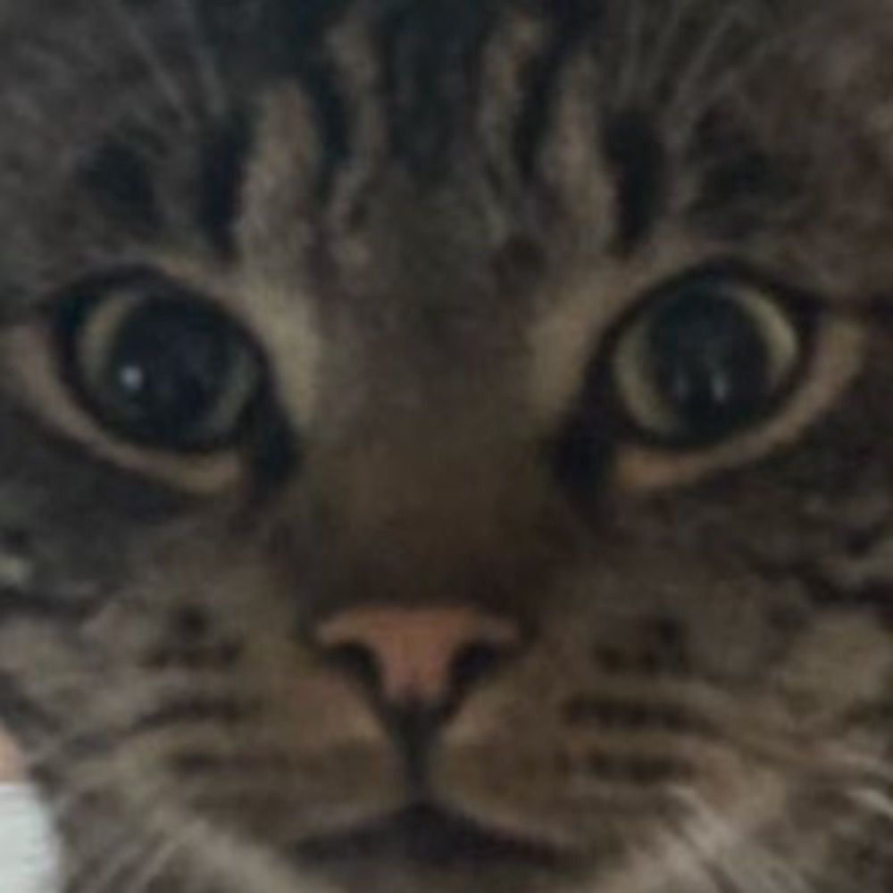 Mineek