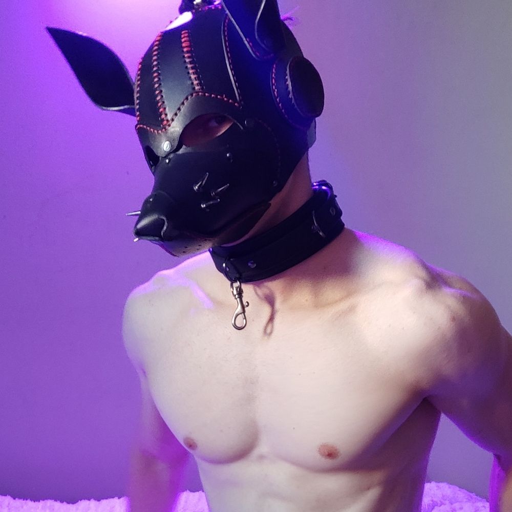 Krausy 🔞🦊