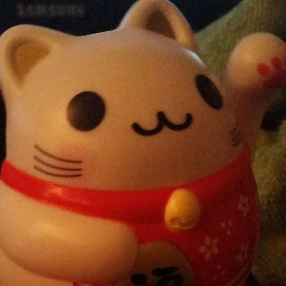 Miss Ninji