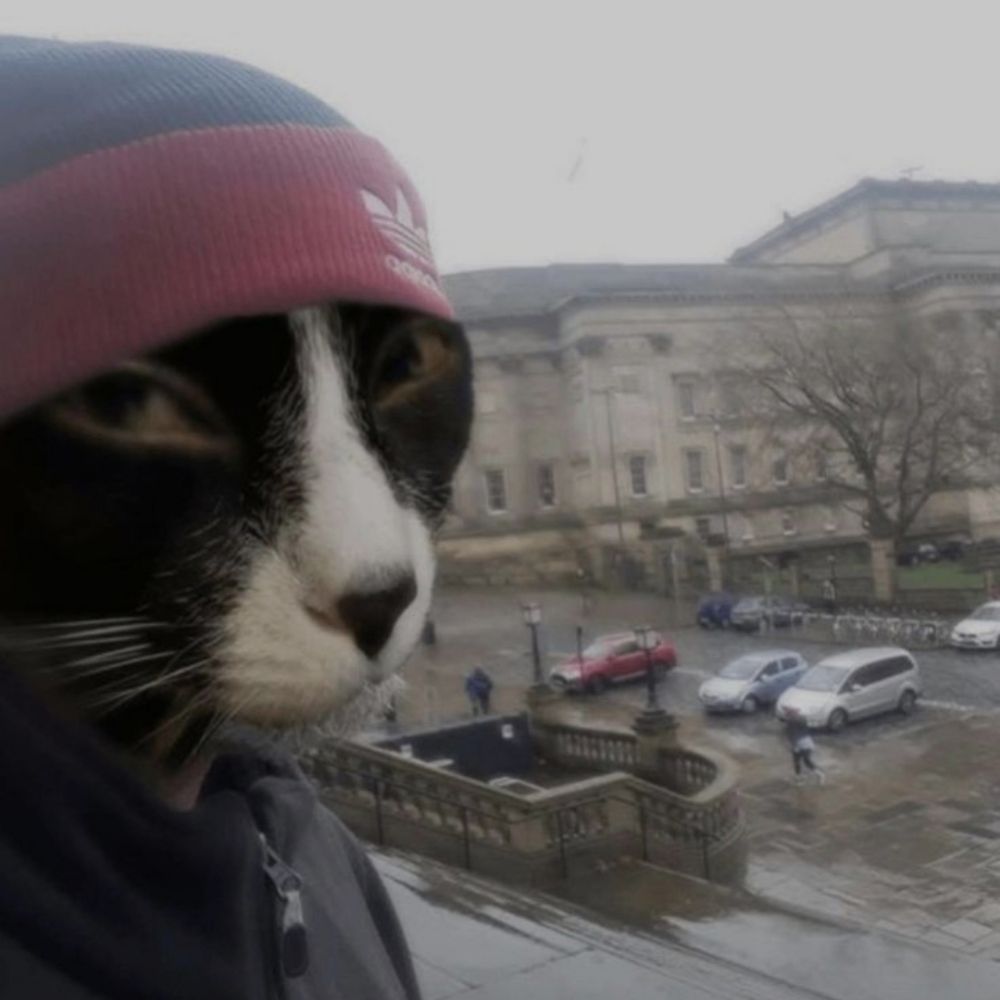 Nolmuski#Boykot