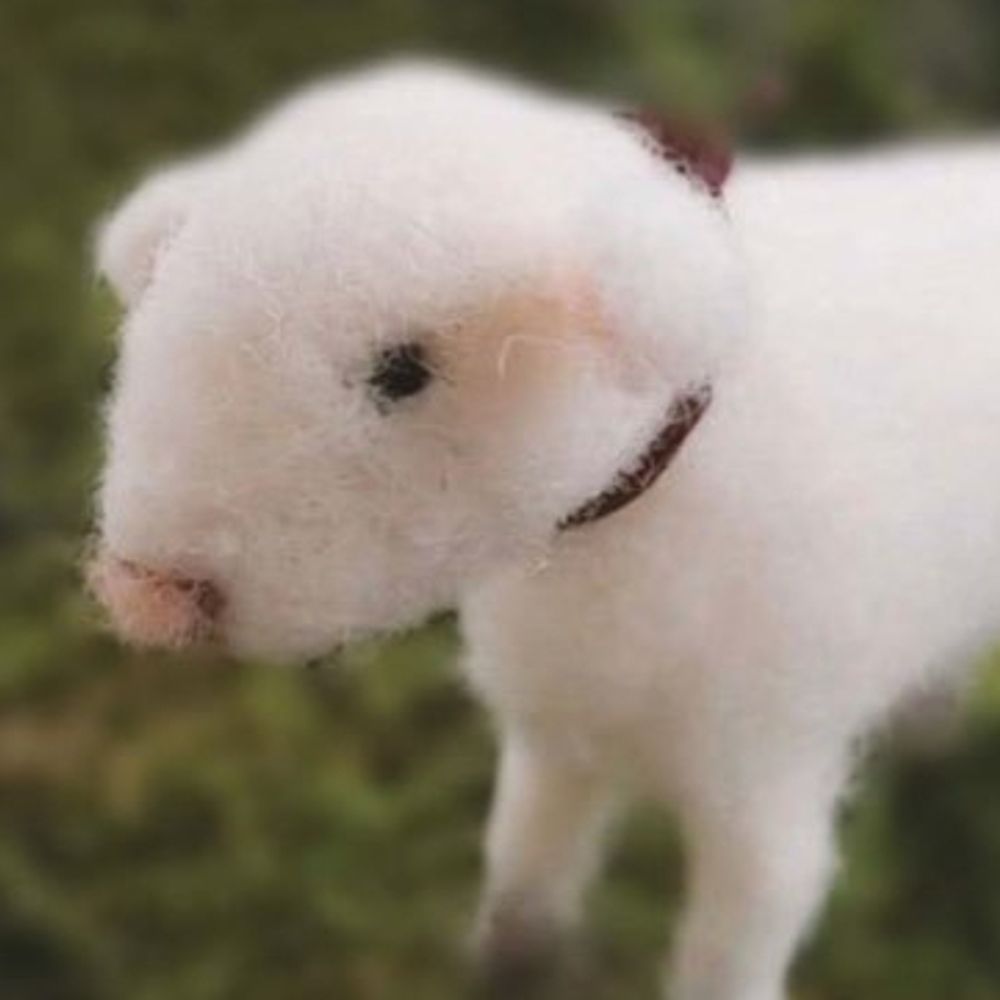 baby ken