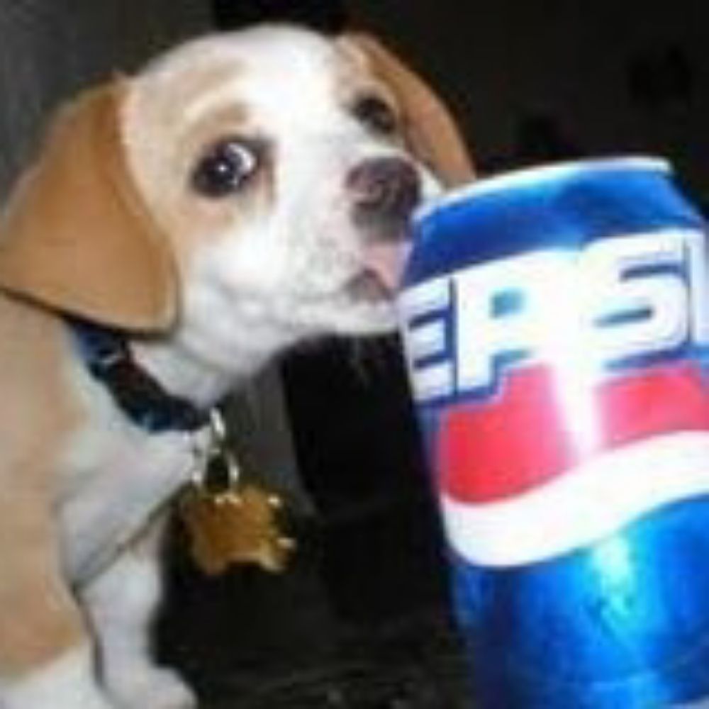 PepsiDog