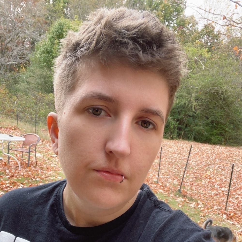 Dani