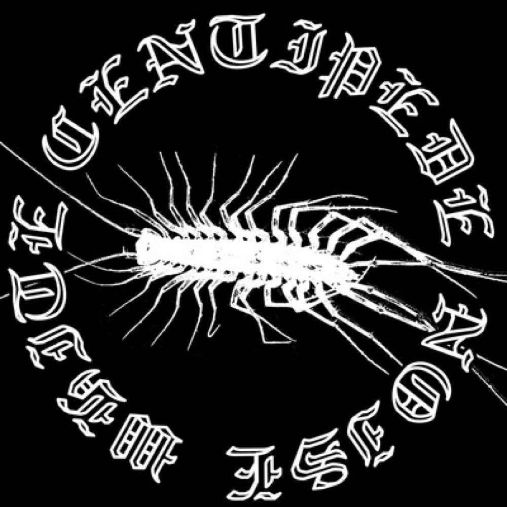 White Centipede Noise