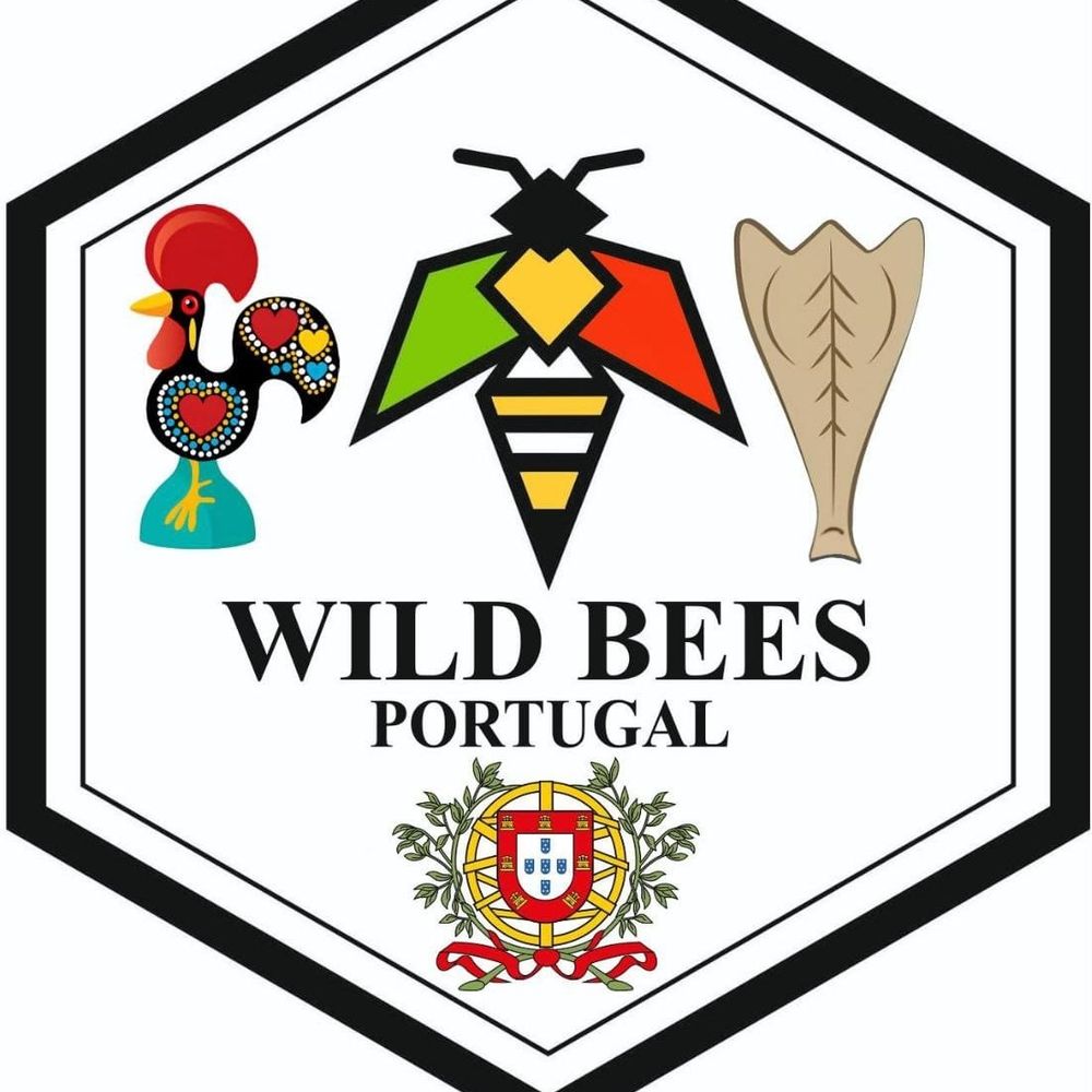 Wild Bees Portugal