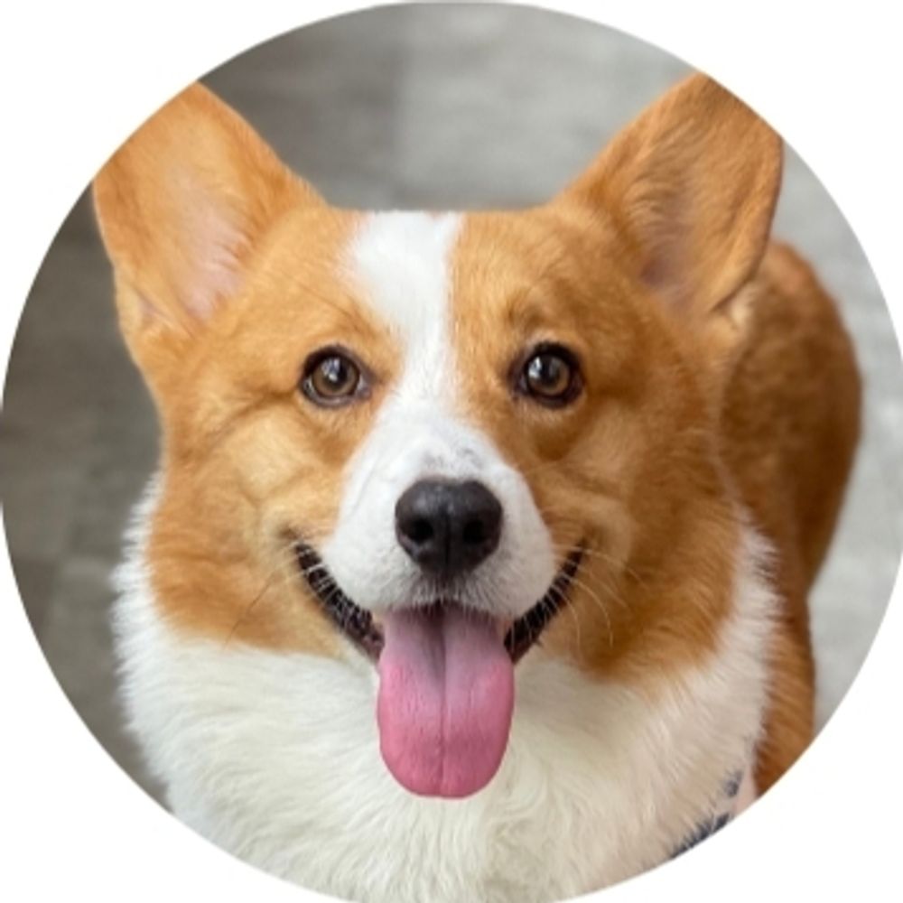 Profile picture welovecorgi.bsky.social