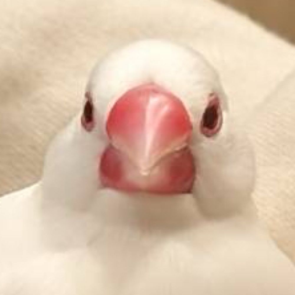 アト