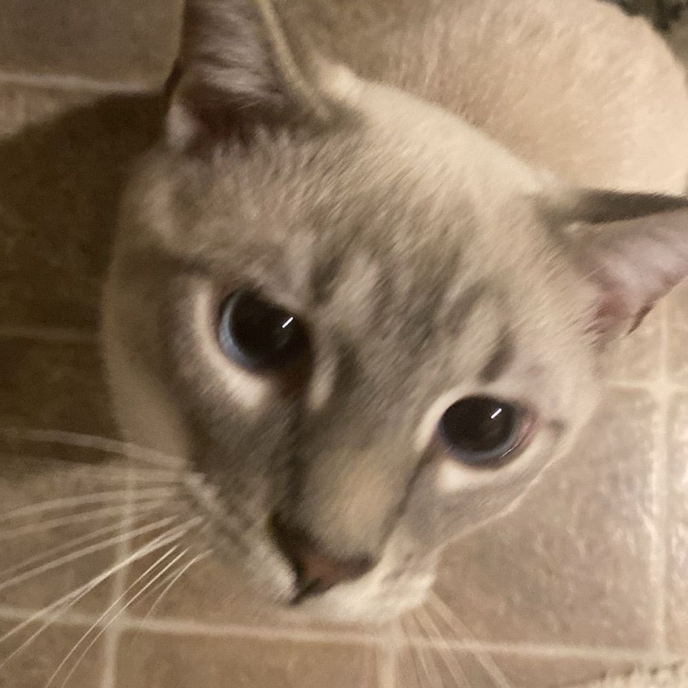 benny