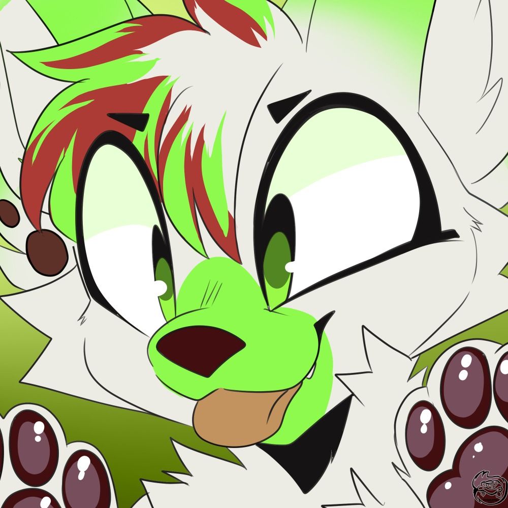 Druid Shep