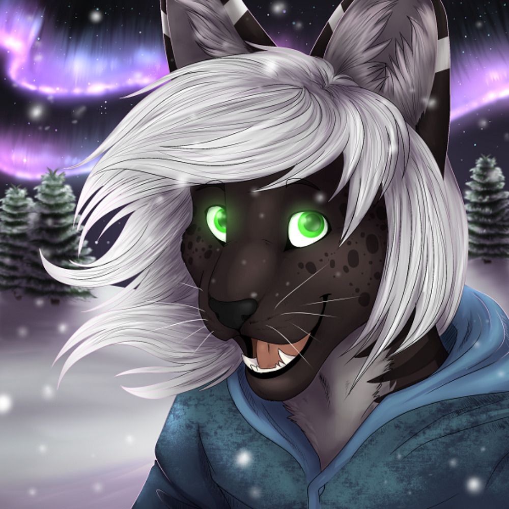 Kyte