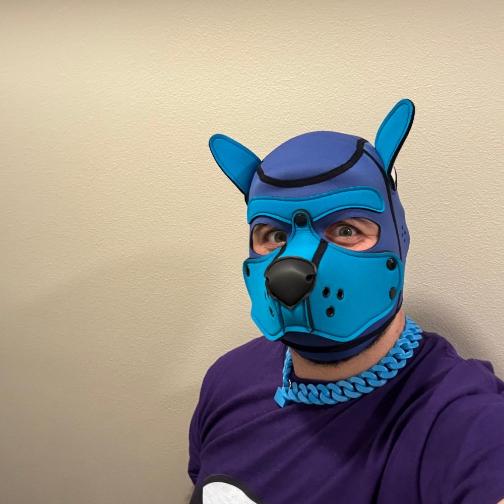 Pup Quiz