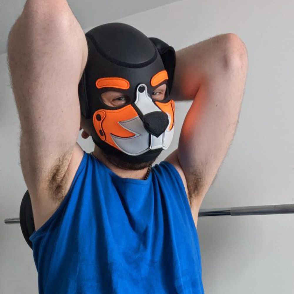 Locked Puppy