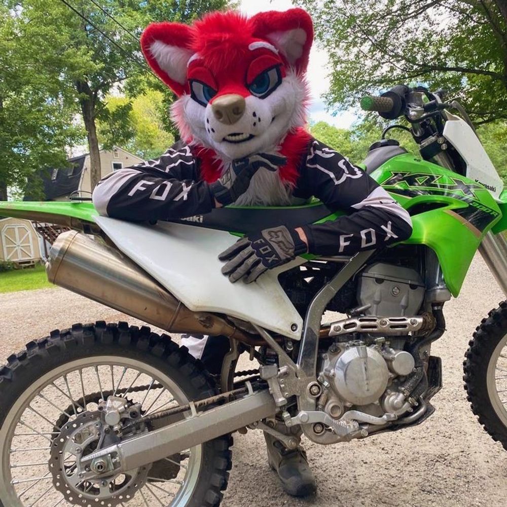 MX Dog 💪🥾🐾