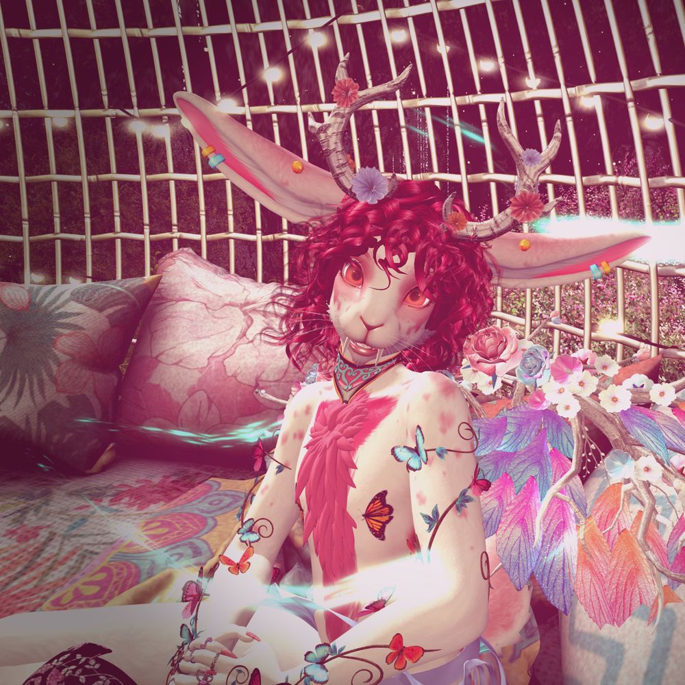 Nummi Bunni