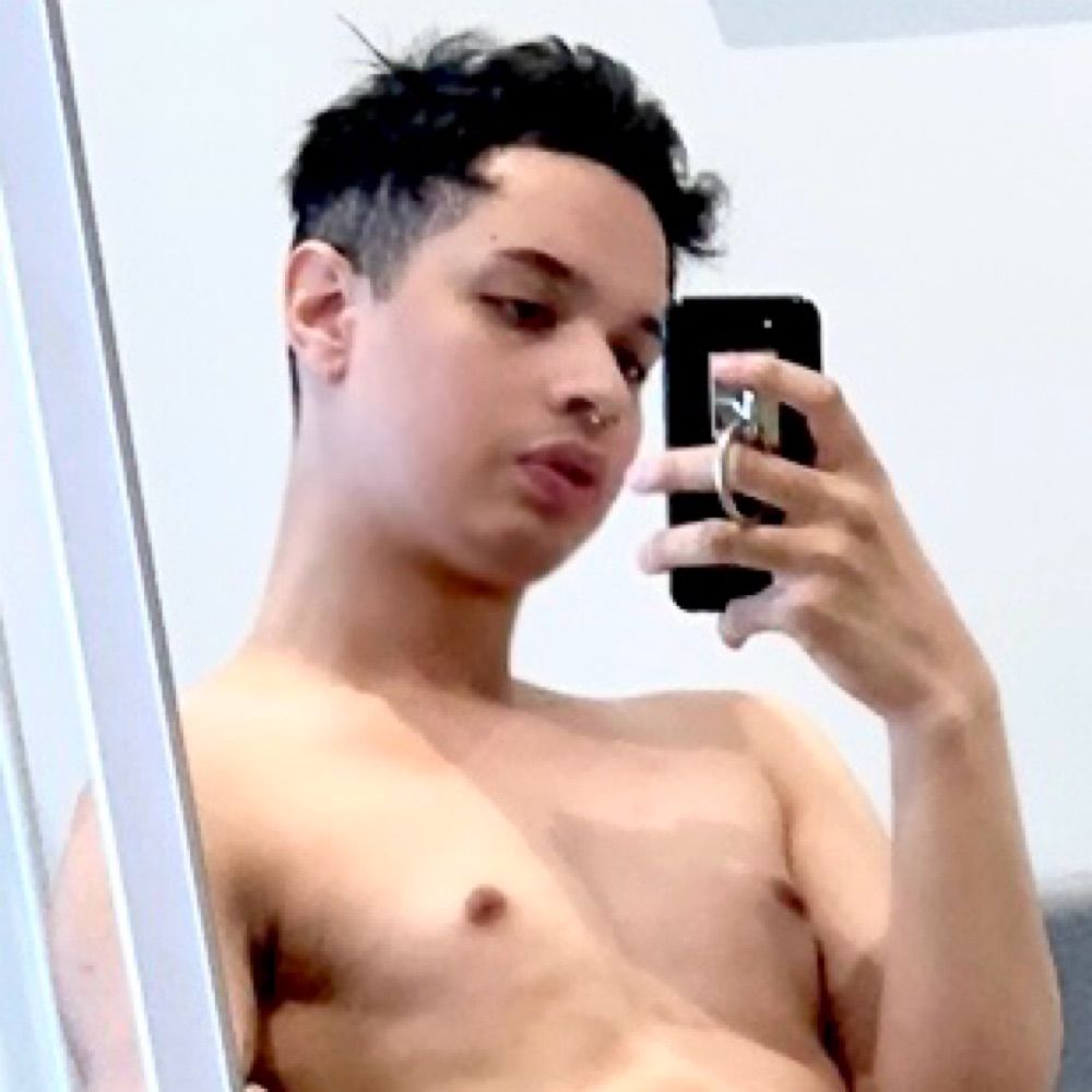 🕊️